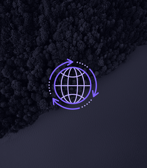This actively managed equity strategy seeks long-term capital growth by investing in domestic and foreign equity securities of companies focused on the Metaverse. Companies within this strategy are focused on building the future of the internet. The Metav